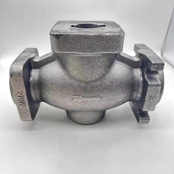 cast iron valve body