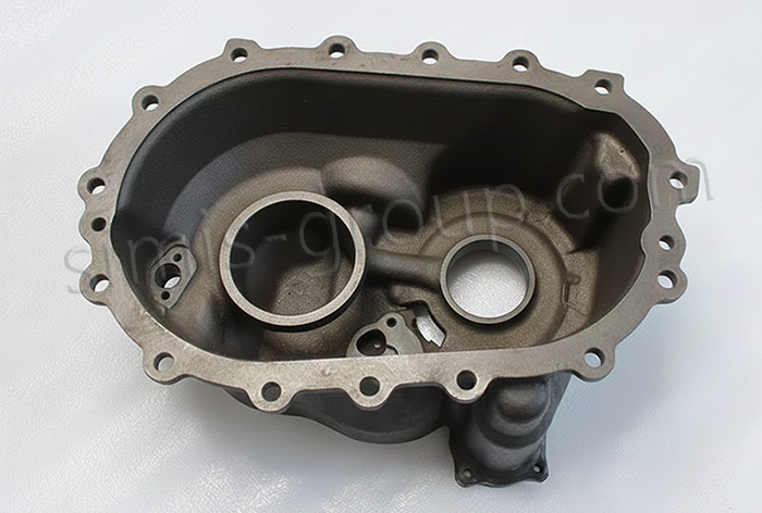 Lost foam casting ductile iron Differential Cases