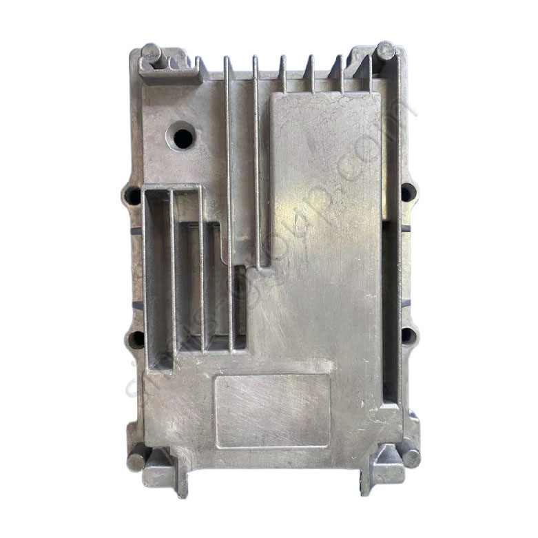 Enlarged version of custom ECU Housing