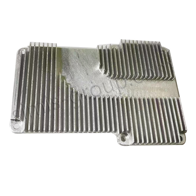 Enlarged version of custom ECU Housing