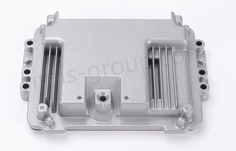 Custom Electronic Control Unit Housing